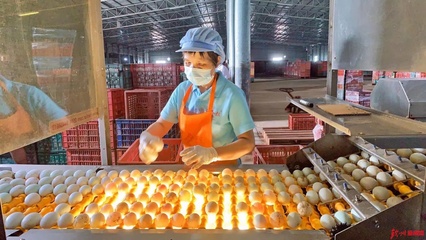 網眼看欽州|誠信食品企業開放日，“零距離”感受放心食品